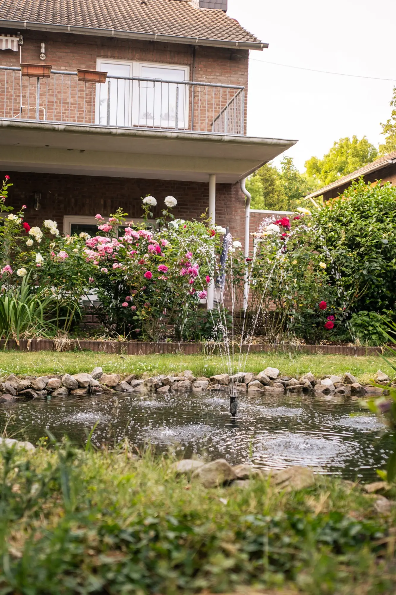 Blühender Rosengarten mit Springbrunnen vor der Wohnanlage